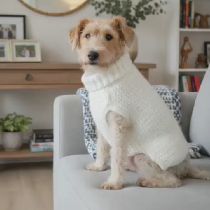 Poet Dog Sweater Crochet Pattern | PDF Digital Download | Easy Crochet for Small to Large Dogs
